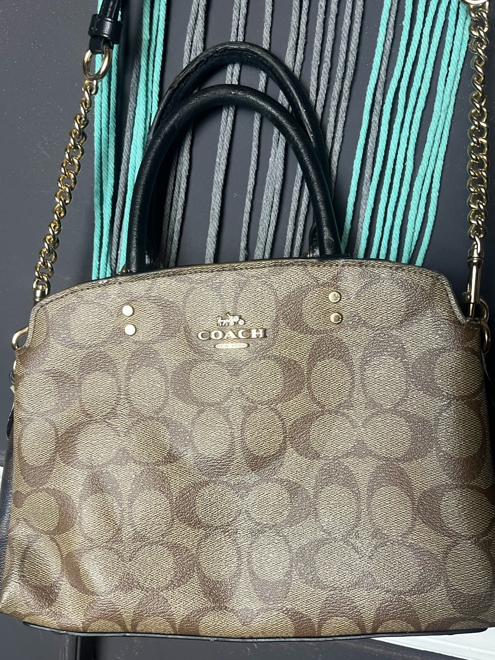 Coach Lillie Carryall Purse